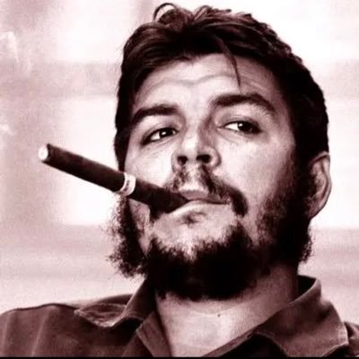 $عزيمة الذئاب لا يكسرها ابدا حقد الكلاب$