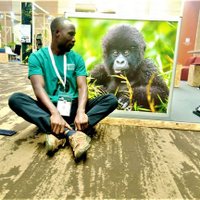 Sunday Oluwasegun (@sundayo16710543) 's Twitter Profile