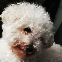 James Weston π΄σ §σ ’σ ·σ ¬σ ³σ Ώ (@jamesjeffrey2_3) 's Twitter Profile
