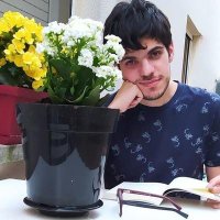 Carles Serrat Pérez (@serratrad) 's Twitter Profile