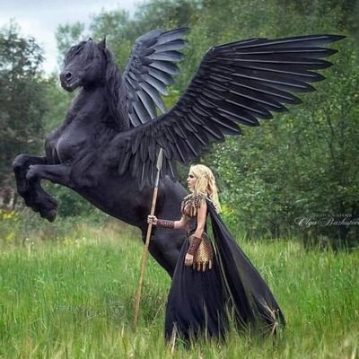 Reemajamal10's profile picture. 