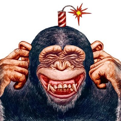 targarcia's profile picture. 