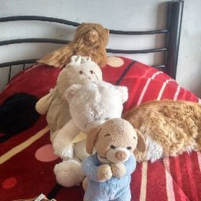 TamaraC76152331's profile picture. 