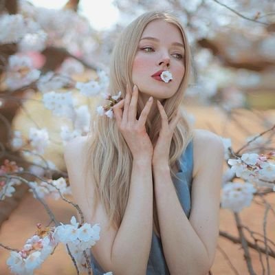 soseta_syria's profile picture. .