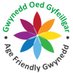 Gwynedd Oed Gyfeillgar (@GwyneddOed) Twitter profile photo