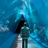 ぴょんざん (@ryuga_fish_2896) Twitter profile photo