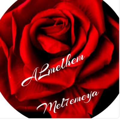 m_melhemeya Profile Picture