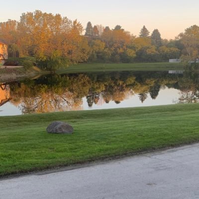 reichi_david's profile picture. 