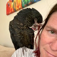 Kristal Walker (@kristal1317) 's Twitter Profile