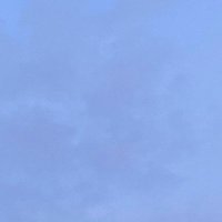 Lovly Purlp (@chayroz_) 's Twitter Profile