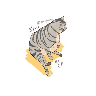 keeyphoto's profile picture. ギターを弾き、酒を嗜みドライブをする。そして猫が好き。