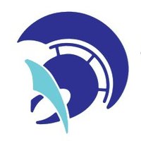 Centinel (@yourcentinel) 's Twitter Profile
