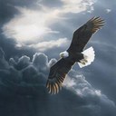 Mirta Morales - @tequiery - Twitter