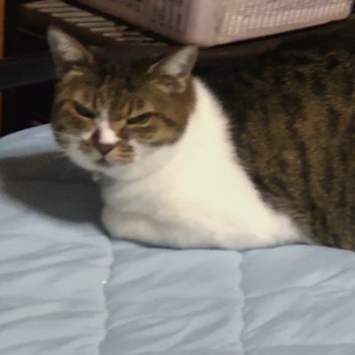 日々考えたことを発信しています。相互フォローの方も、どうぞよろしくお願いいたします♪学校を定年退職後、子ども施設勤務をしてきましたが、体調不良等があり、この春、フルタイム勤務40年終了を区切りとして退職し、新たに勤める工場勤務に燃えてます♪