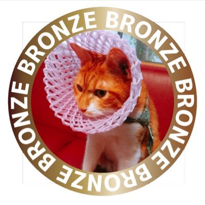 kuromamegappa's profile picture. 推しは推せる時に推しておこう 関西／MELOGAPPA／OWV あと折り紙と時々ちいかわ