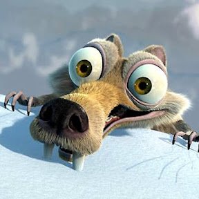 jankielj's profile picture. 