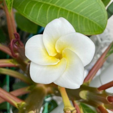 meron4050's profile picture. 