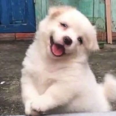 Seena ซีน่า🥚さんのプロフィール画像