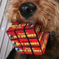 Shanklin Pet Stores(@shanklinpets) 's Twitter Profile Photo