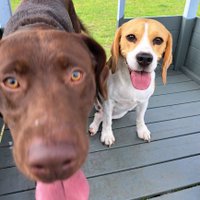 Helen Ansell (@helenansell16) 's Twitter Profile