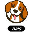B&S's avatar
