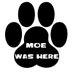 Moe (@mo3stv) Twitter profile photo Moe (@mo3stv) Twitter profile photo