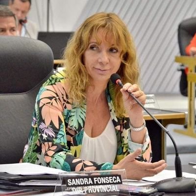 Prof. Sandra Fabiana Fonseca Diputada provincial por Comunidad Organizada