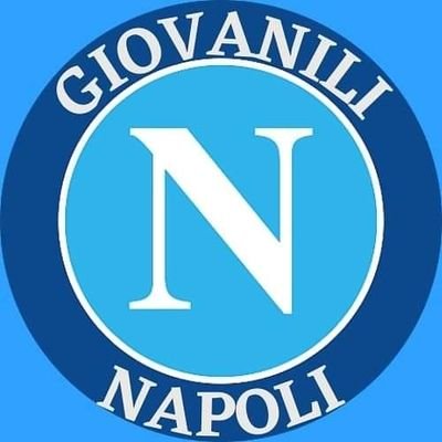 Tutte le informazioni sul settore giovanile della S. S. C. NAPOLI💙Notizie di Mercato,News, tabellini delle gare e marcatori ⚽