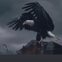 Cosmas (@cosmas66652921) 's Twitter Profile