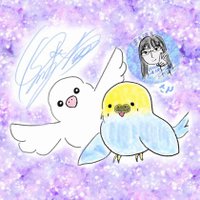 まろはる (@maron_to_haruki) 's Twitter Profile