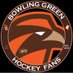 BGSU Hockey Fans (@BGHockeyFans) Twitter profile photo