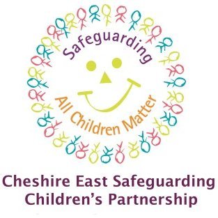 Responsible for ensuring that agencies such as schools, health, police and children’s services work together to protect children.