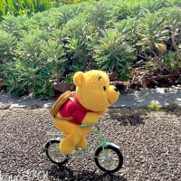 こやなぎ　まゆみ (@mayu19780822) Twitter profile photo