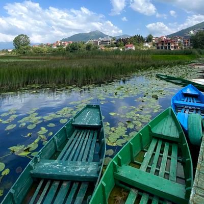 Sez84442744's profile picture. 