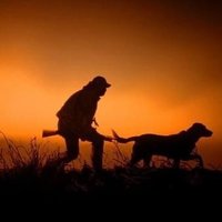 Hotsaucehuntersaustralia (@hotsaucehunter2) 's Twitter Profile