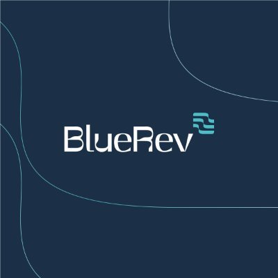 BlueRevEU Profile Picture