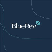 BlueRev(@BlueRevEU) 's Twitter Profile Photo