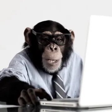 Trained ape, monkey business