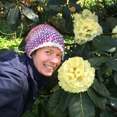 3rd year BSc Horticulture and Plant Science student at the Eden Project, Cornwall and working for National Wildflower Centre