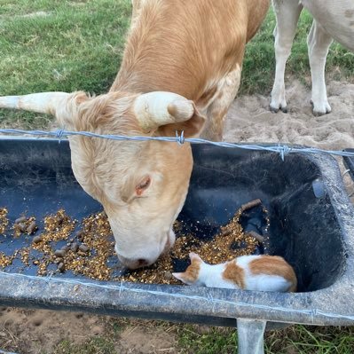 DonnaSc57632552's profile picture. 