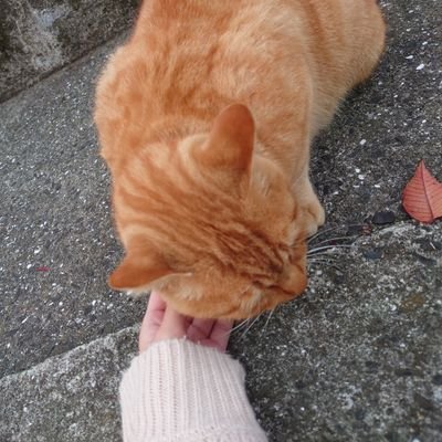 優希さんのプロフィール画像