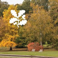 Claremont Landscape Garden (@claremontnt) Twitter profile photo