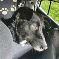 Tobi (@mikegarden7) 's Twitter Profile