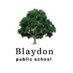 BlaydonPS (@blaydonps) Twitter profile photo BlaydonPS (@blaydonps) Twitter profile photo