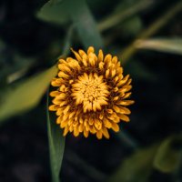 Chetan Vlad (@chetan_vlad) 's Twitter Profile