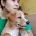 Corgi-sama (@sonisorawau) Twitter profile photo Corgi-sama (@sonisorawau) Twitter profile photo