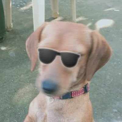 ᵖᵒʷᵉʳᵖᵘᶠᶠᵍⁱʳˡˢ