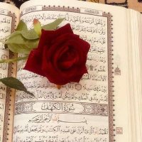 hala elsaid ♥️ (@elpopqueen) Twitter profile photo