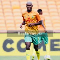 sphephelo sithole (@sphephelositho2) 's Twitter Profile