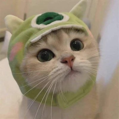 witch030127's profile picture. kpop取引垢